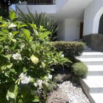 Casa DA VIDA Desintoxicacion y Acompanamiento contra las Adicciones
