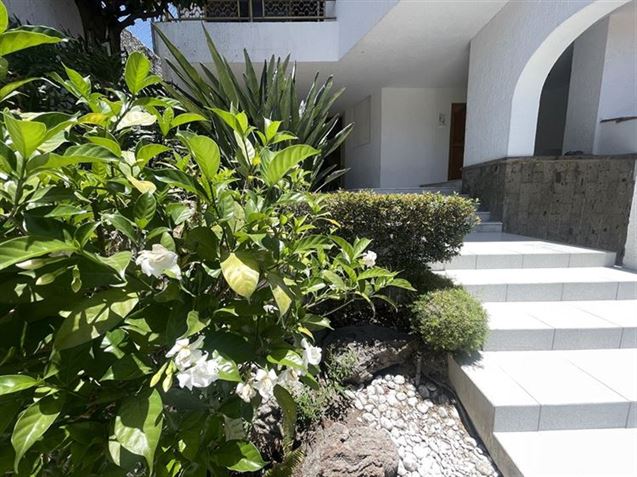 Casa DA VIDA Desintoxicacion y Acompanamiento contra las Adicciones